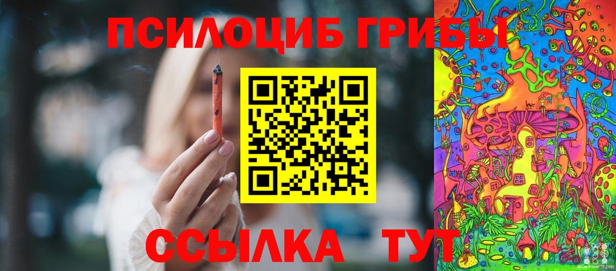 Псилоцибиновые грибы Psilocybine cubensis Рыбинск